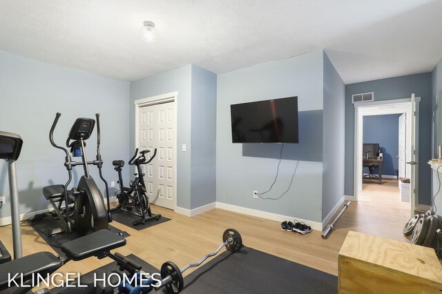 9235 Bigleaf Dr, West Olive, MI 49460 - workout room with light wood-style flooring and baseboards