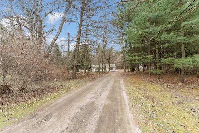 view of dirt / gravel driveway