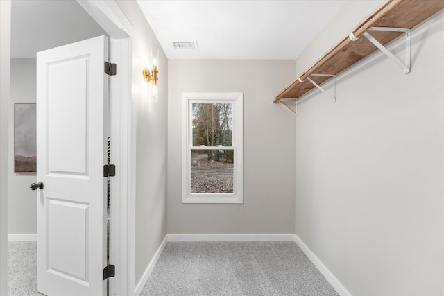 walk in closet featuring carpet floors