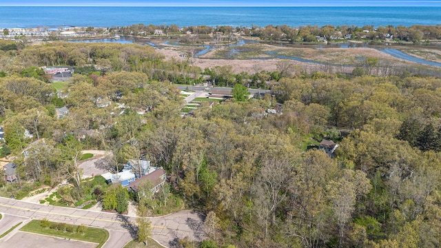816 E Indiana St, New Buffalo, MI 49117
