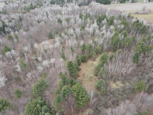 0VL W Maple Ridge Rd, Twining, MI 48766