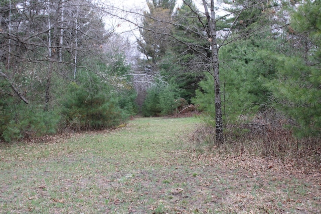 0VL W Maple Ridge Rd, Twining, MI 48766