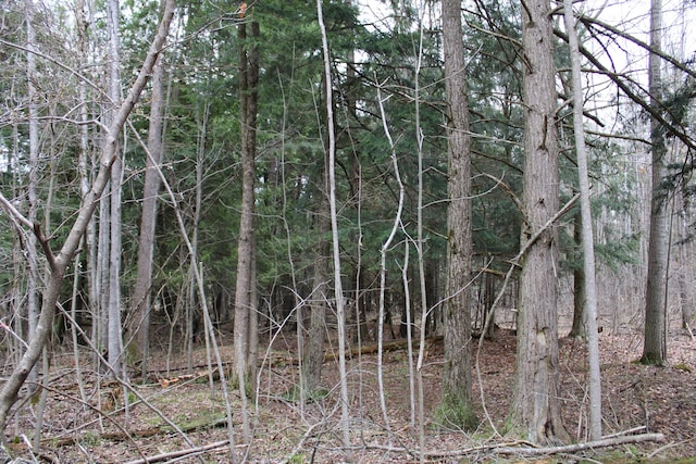 0VL W Maple Ridge Rd, Twining, MI 48766