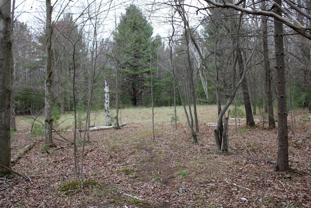 0VL W Maple Ridge Rd, Twining, MI 48766