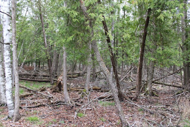 0VL W Maple Ridge Rd, Twining, MI 48766