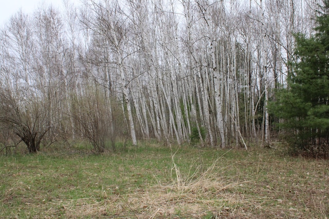 0VL W Maple Ridge Rd, Twining, MI 48766