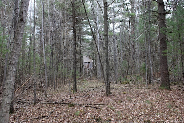 0VL W Maple Ridge Rd, Twining, MI 48766
