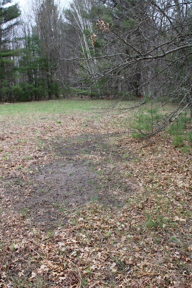 0VL W Maple Ridge Rd, Twining, MI 48766