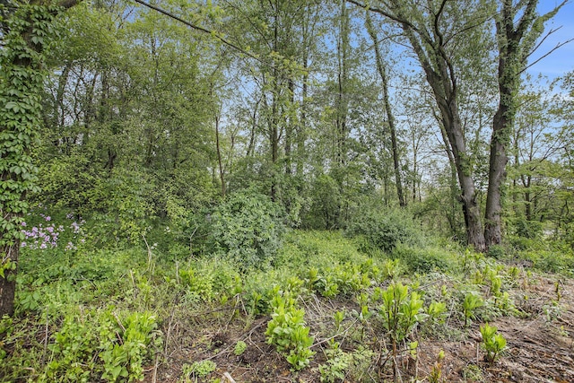 184 Shadowood Ln, Battle Creek, MI 49017