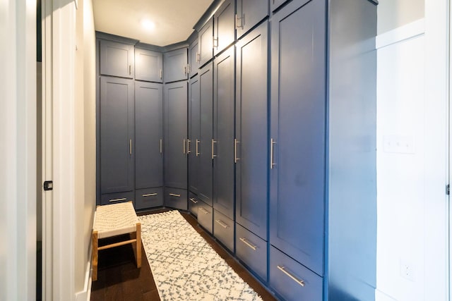 walk in closet featuring dark wood-style flooring