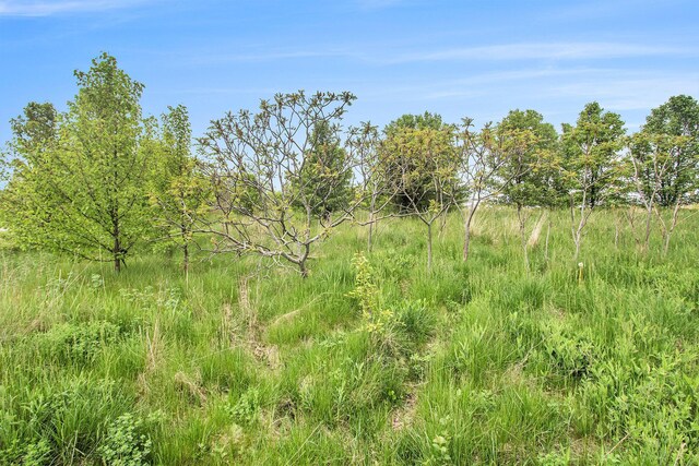 1075 Henze Dr NW, Comstock Park, MI 49321