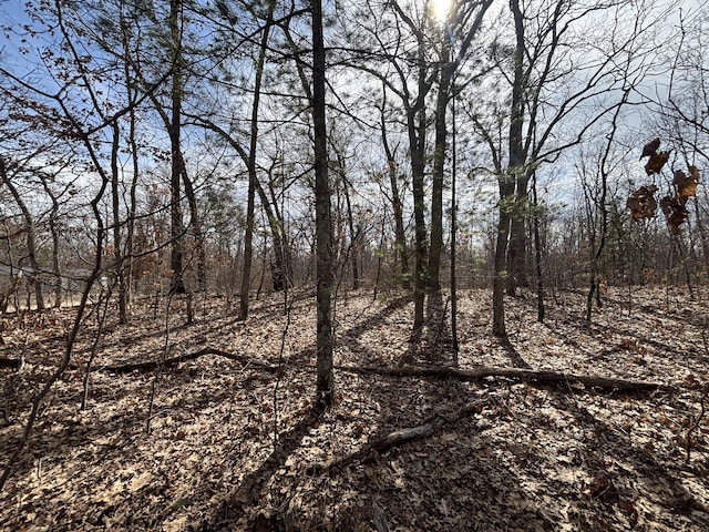 V/L12A E Wilke Rd, Rothbury, MI 49452