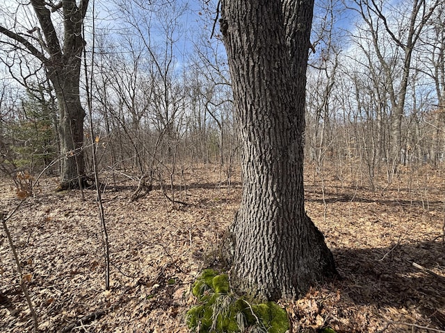 V/L12A E Wilke Rd, Rothbury, MI 49452