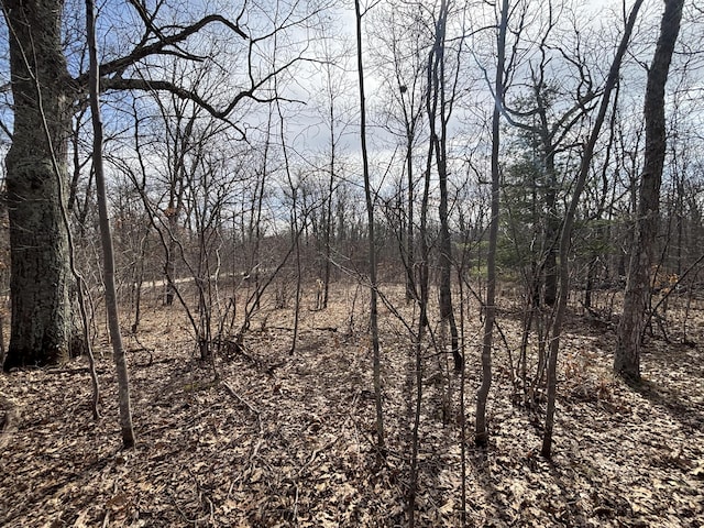 V/L12A E Wilke Rd, Rothbury, MI 49452