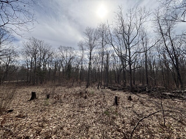 V/L12A E Wilke Rd, Rothbury, MI 49452