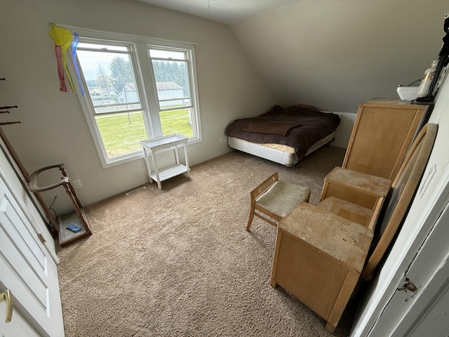 22011 Springer, Vicksburg, MI 49097 - bedroom with vaulted ceiling and light colored carpet