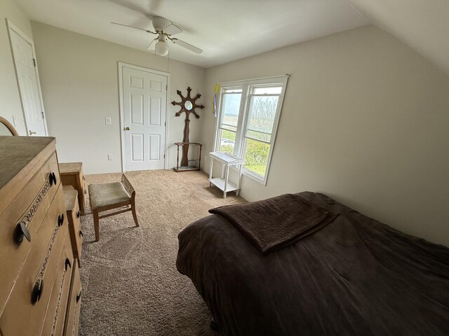 22011 Springer, Vicksburg, MI 49097 - bedroom featuring light carpet, a ceiling fan, and lofted ceiling