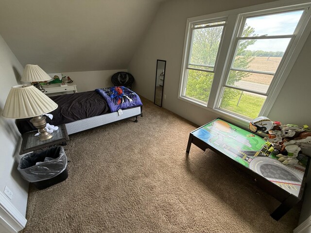 22011 Springer, Vicksburg, MI 49097 - bedroom with light carpet and lofted ceiling