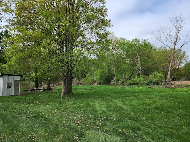 64196 Youngs Prairie Rd, Constantine, MI 49042
