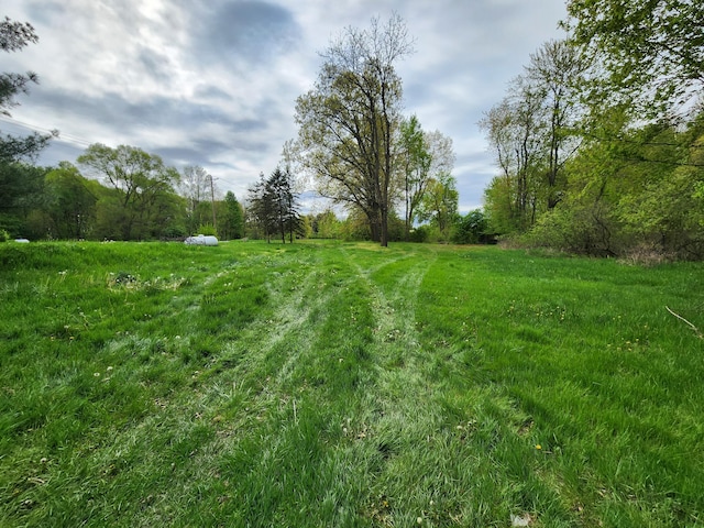 64196 Youngs Prairie Rd, Constantine, MI 49042