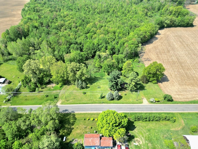 64196 Youngs Prairie Rd, Constantine, MI 49042