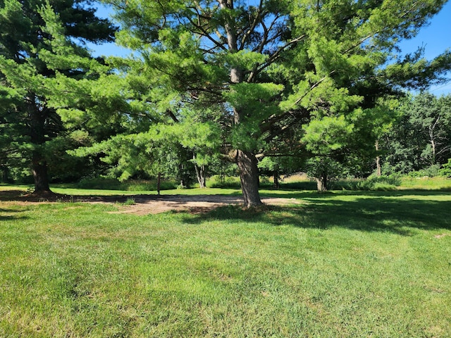 64196 Youngs Prairie Rd, Constantine, MI 49042 - photo 4