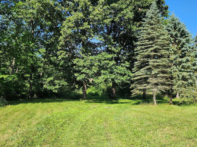 64196 Youngs Prairie Rd, Constantine, MI 49042 - photo 6