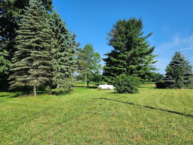 64196 Youngs Prairie Rd, Constantine, MI 49042 - photo 7