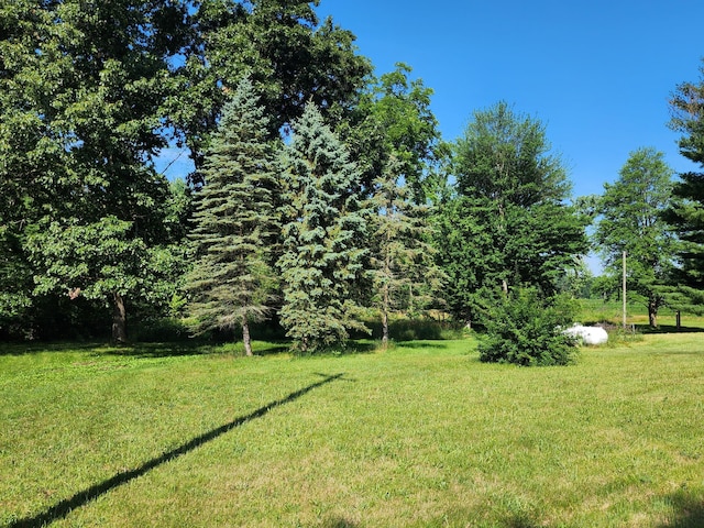 64196 Youngs Prairie Rd, Constantine, MI 49042 - photo 8