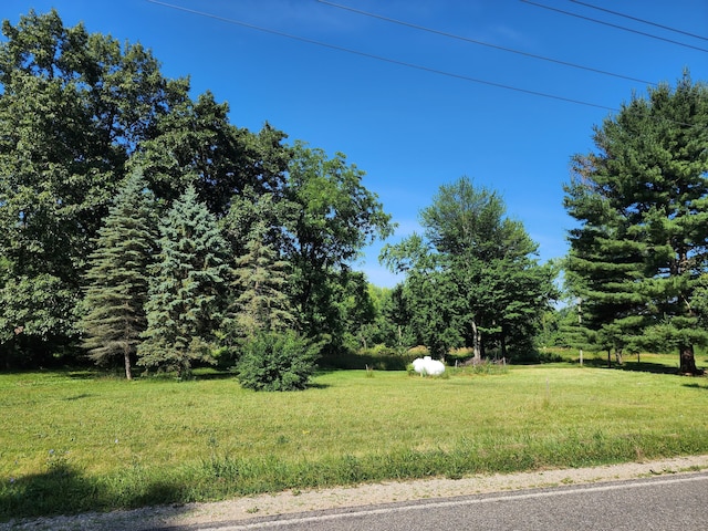 64196 Youngs Prairie Rd, Constantine, MI 49042 - photo 9