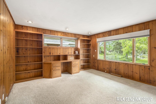 28 W 34th St, Holland, MI 49423 - unfurnished office featuring wood walls, light colored carpet, built in features, and recessed lighting