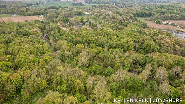 2263 136th Ave, Dorr, MI 49323 - aerial view of a heavily wooded area