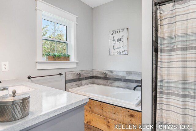 2263 136th Ave, Dorr, MI 49323 - full bathroom with a garden tub, a sink, and curtained shower