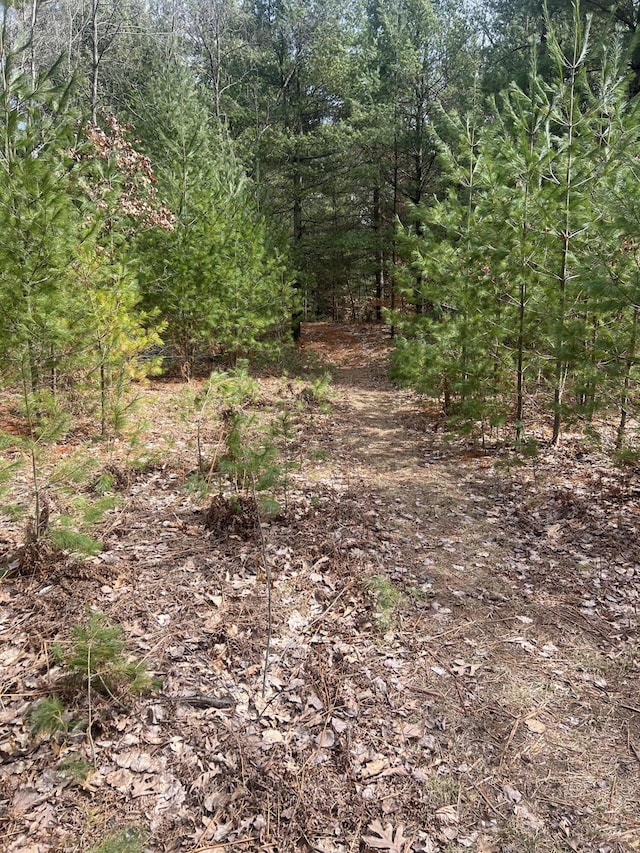 1373 N Apple Dr, White Cloud, MI 49349