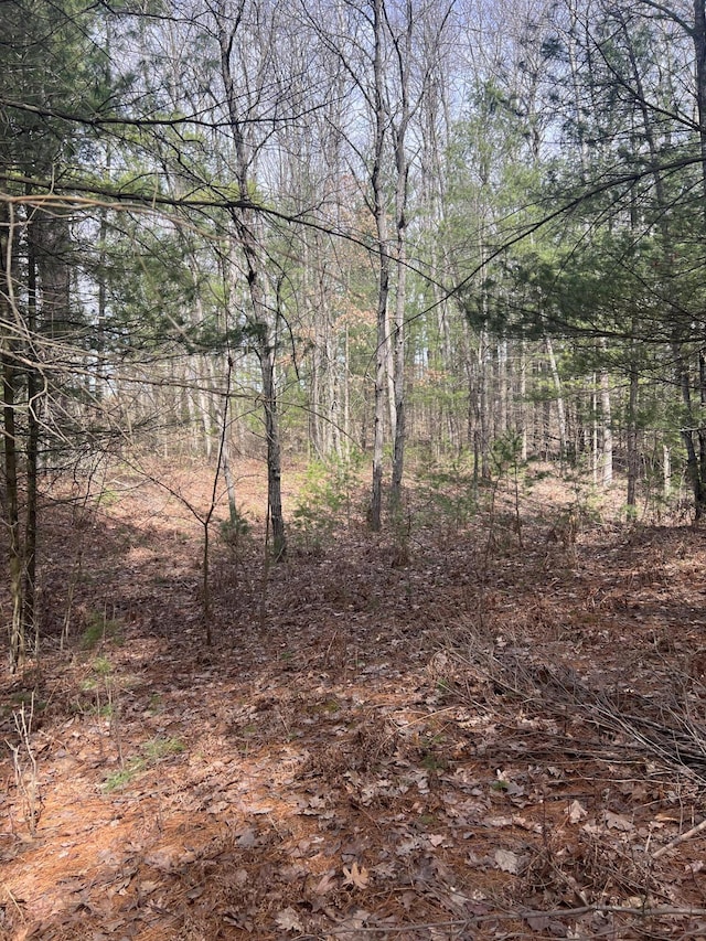 1373 N Apple Dr, White Cloud, MI 49349
