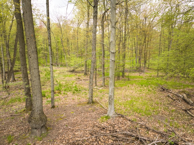 4848 Cutler Rd, Six Lakes, MI 48886