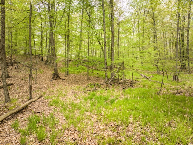 4848 Cutler Rd, Six Lakes, MI 48886