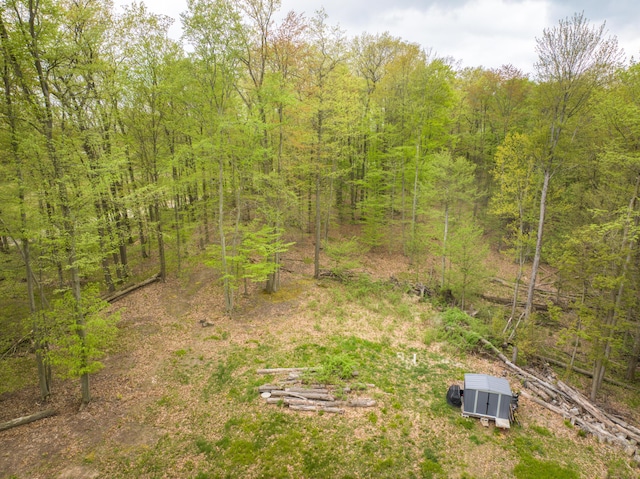 4848 Cutler Rd, Six Lakes, MI 48886