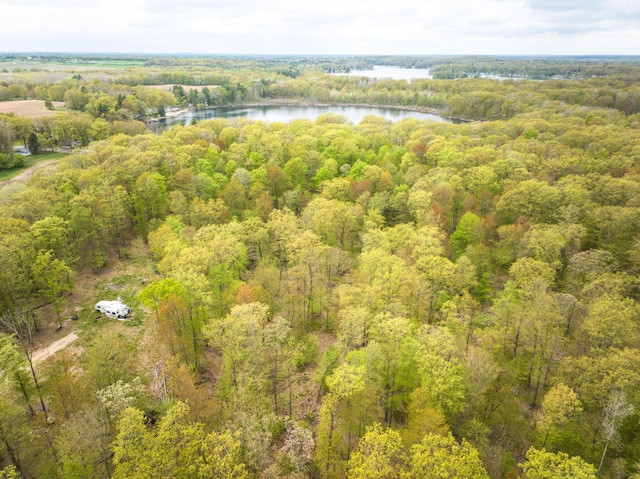 4848 Cutler Rd, Six Lakes, MI 48886