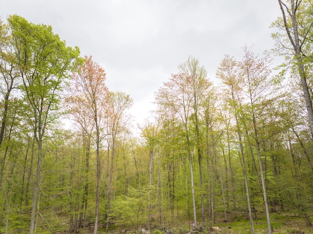 4848 Cutler Rd, Six Lakes, MI 48886