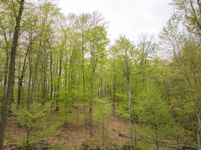 4848 Cutler Rd, Six Lakes, MI 48886