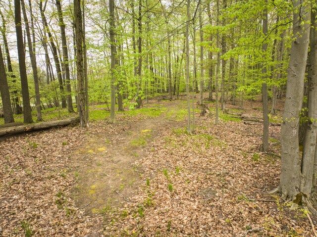 4848 Cutler Rd, Six Lakes, MI 48886