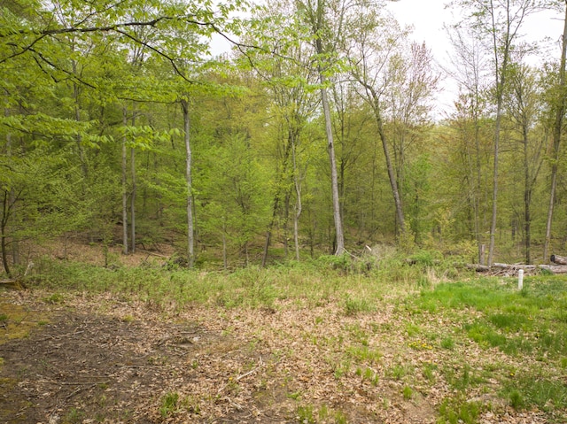 4848 Cutler Rd, Six Lakes, MI 48886