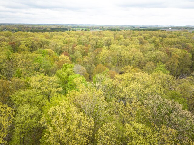 4848 Cutler Rd, Six Lakes, MI 48886