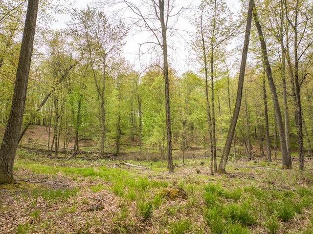 4848 Cutler Rd, Six Lakes, MI 48886