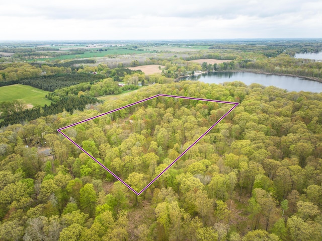 4848 Cutler Rd, Six Lakes, MI 48886