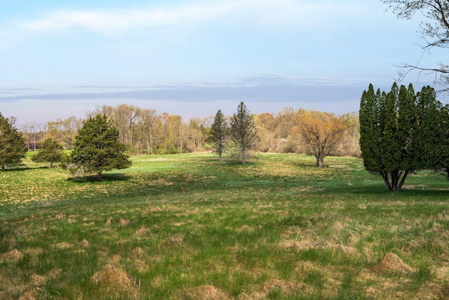 Moeckel Rd, Grass Lake, MI 49240