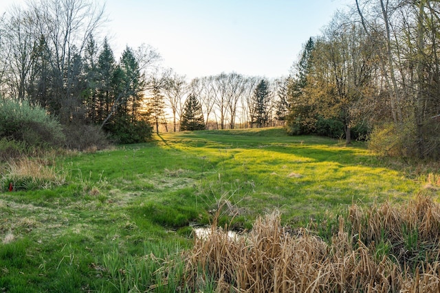 Moeckel Rd, Grass Lake, MI 49240