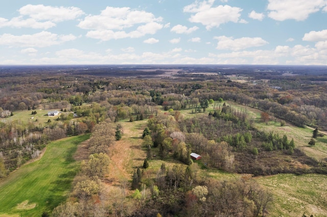 Moeckel Rd, Grass Lake, MI 49240