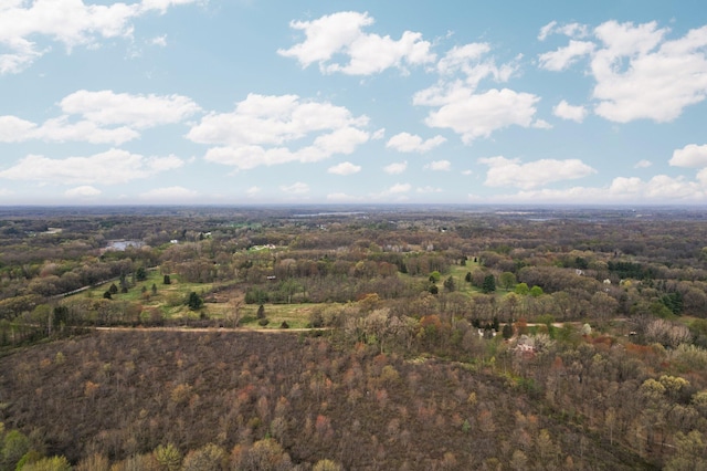 Moeckel Rd, Grass Lake, MI 49240